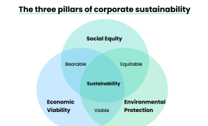 Corporate Environmental Responsibility