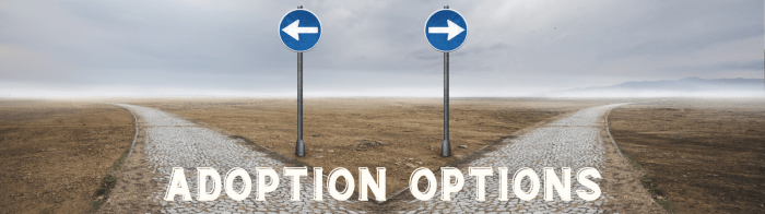 What are the options for adoption?