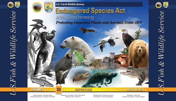 Endangered Species Act Protections