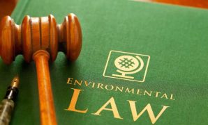 Sustainability in Environmental Law