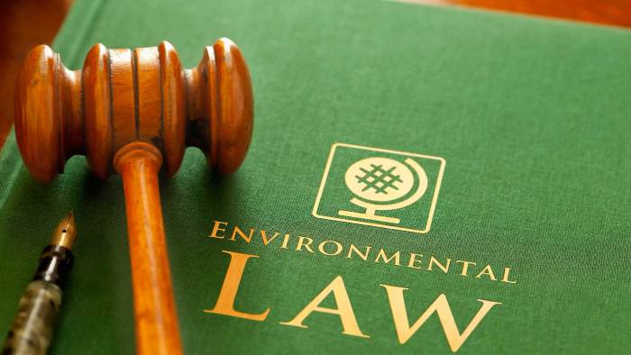 Sustainability in Environmental Law