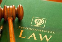 International Environmental Law