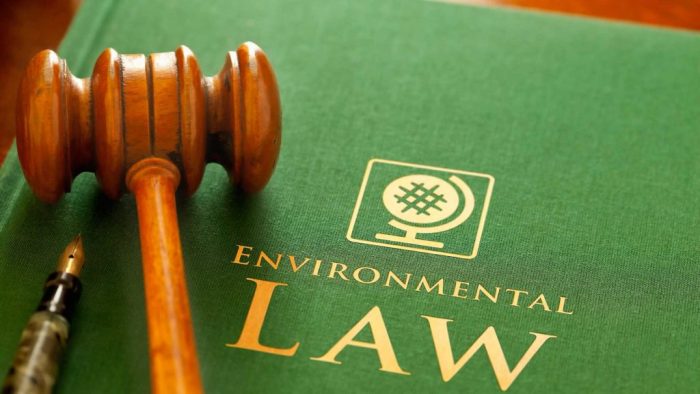 International Environmental Law