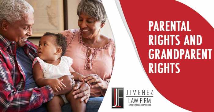 What are the rights of grandparents in family law?