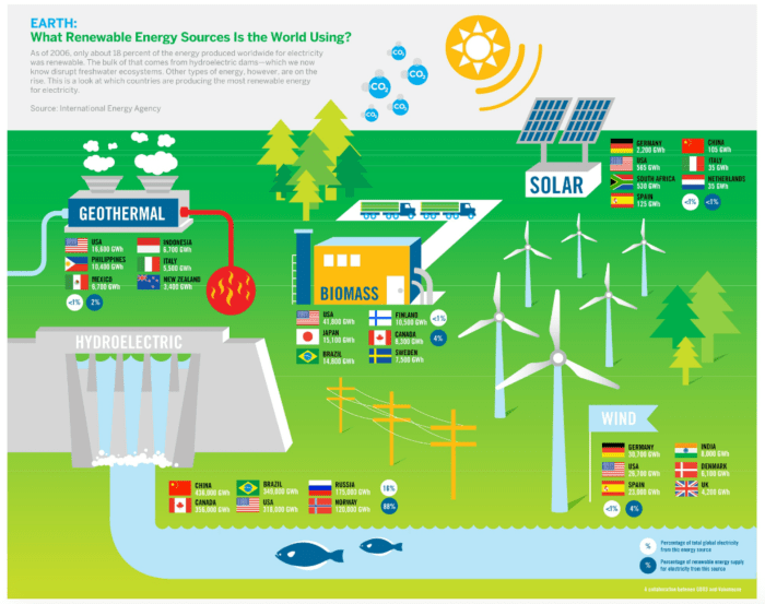 Renewable Energy and Environmental Law