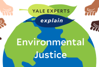 Environmental Justice Issues