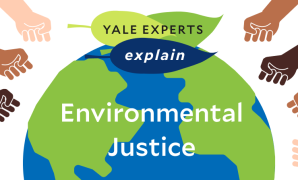 Environmental Justice Issues