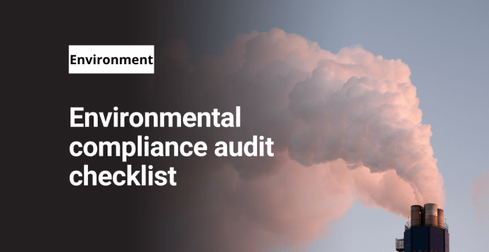 Environmental Auditing and Compliance